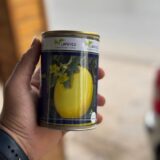 بطيخ كناري